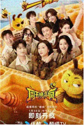 综艺 磁力链接